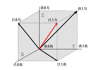 Representación vectorial en coordenadas cartesianas (imagen de Luis E. Vadillo Sacristán)