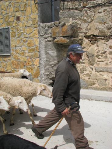 ES_CYL_AVI San-Miguel-de-Corneja-001-06