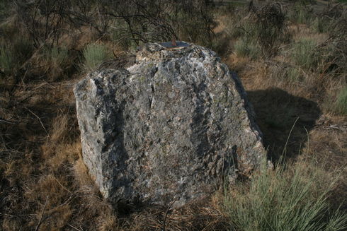 ES_CYL_ZAM Figueruela-de-Arriba-013-02 Figueruela-de-Abajo, Peña Llagona