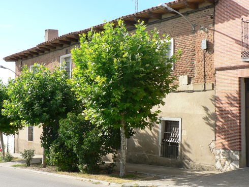 ES_CYL_VALL Torrelobatón-002-01 San-Pedro-8