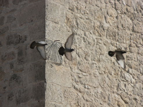 ES_CYL_VALL Campaspero-001-02 Santo-Domingo-de-Guzmán